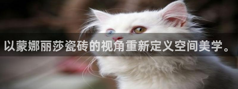 富联娱乐公司简介图片