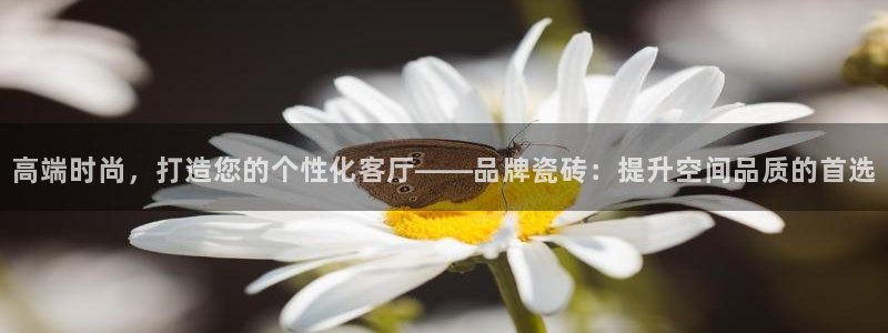 富联娱乐在线观看视频