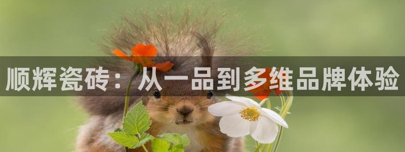 富联娱乐与六七五一38