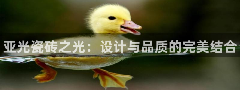 富联娱乐开户流程