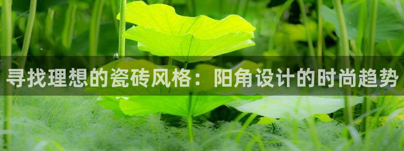 富联娱乐主管月原判官333OO