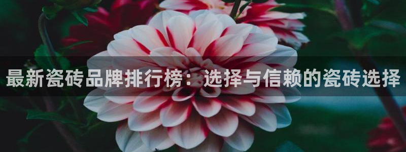 富联娱乐app更新版本