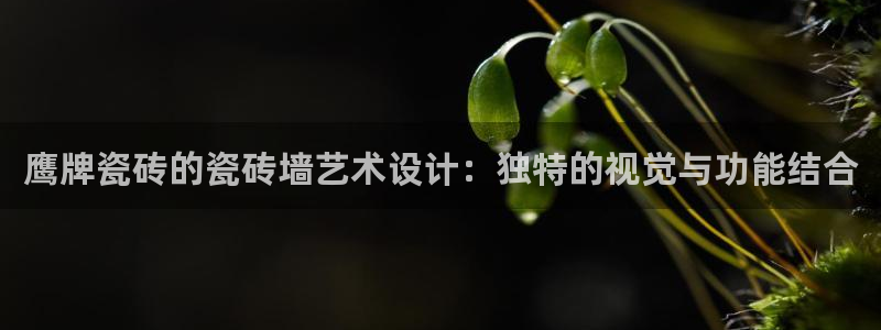 富联娱乐21192