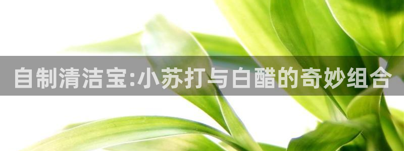富联娱乐是资金盘吗