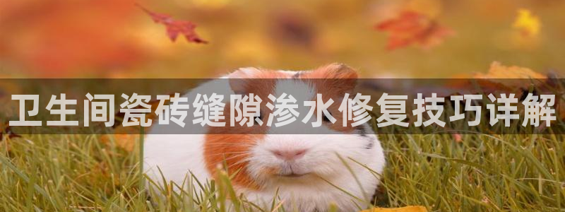 富联娱乐怎么样知乎推荐