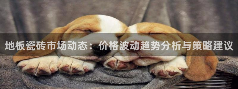 富联娱乐忘记账号密码