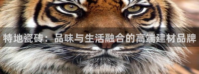 富联娱乐总代理电话号码