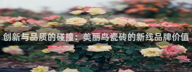 富联娱乐戚少风