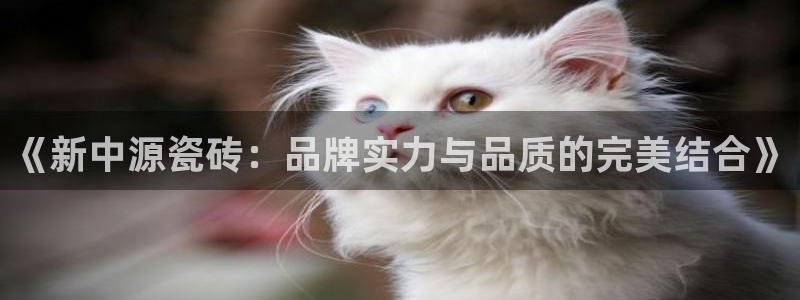富联娱乐招商会判官333OO