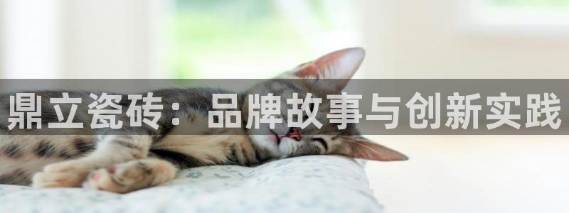 富联娱乐网址