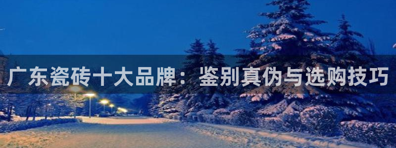 富联娱乐发展历程简介