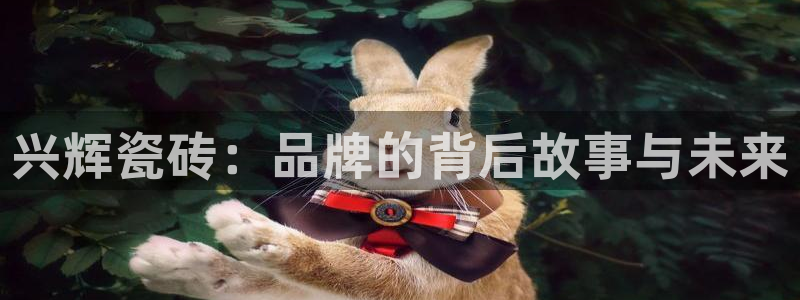 富联娱乐系究7276O