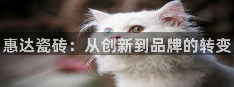 富联娱乐代理怎么样了