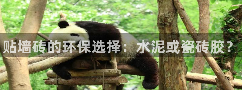 富联娱乐女团排名多少