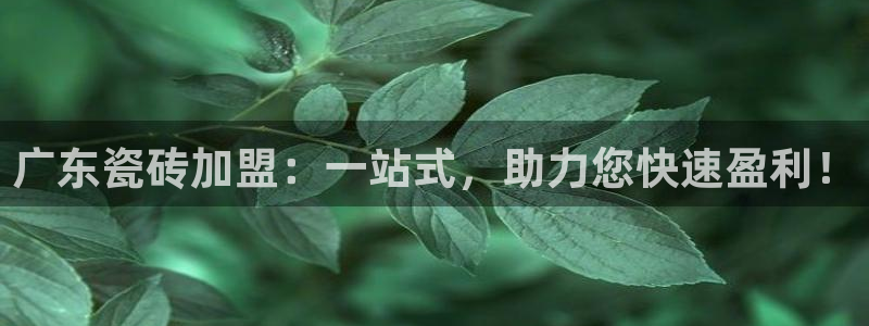 富联娱乐在线观看视频
