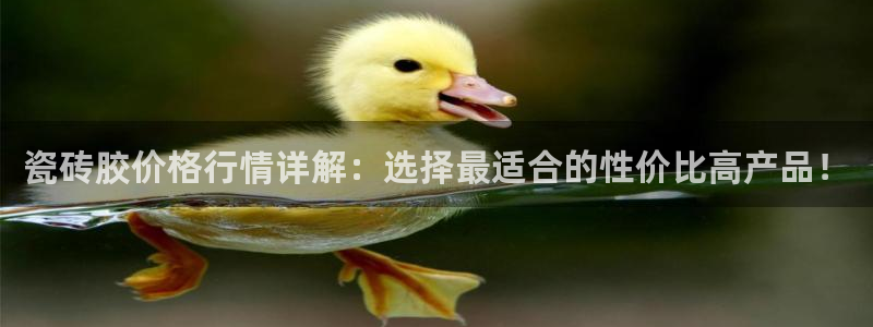 富联娱乐app更新