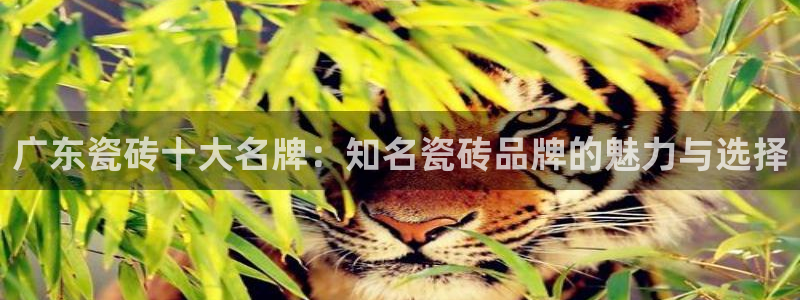富联娱乐元哥53551