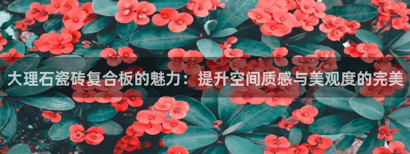 富联娱乐直究7276O