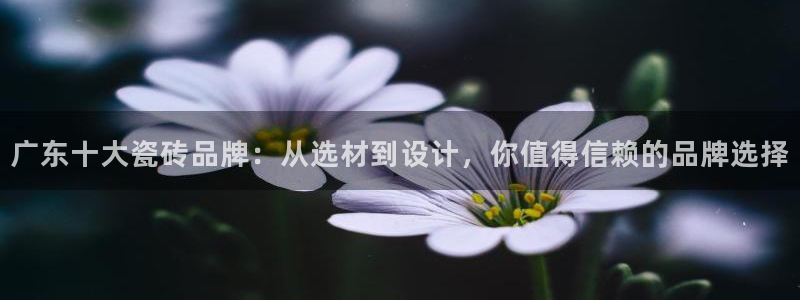 富联娱乐qv87555