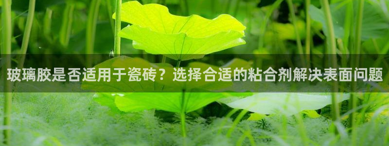 富联娱乐上级
