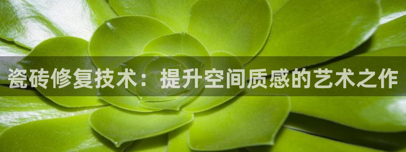 富联娱乐测速地址是什么