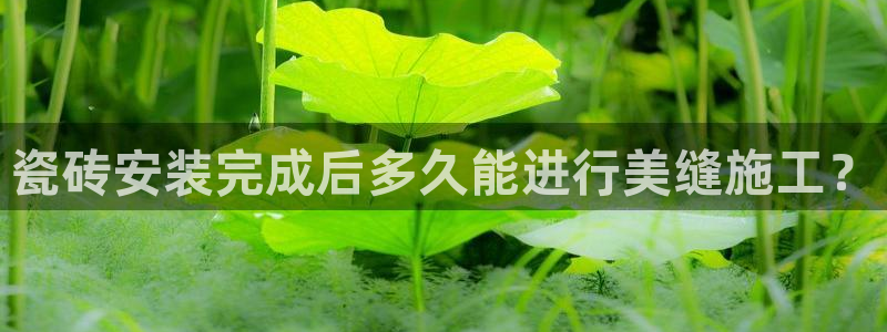 富联娱乐平台下载app