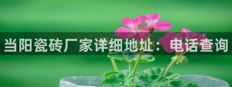富联娱乐平台官网首页