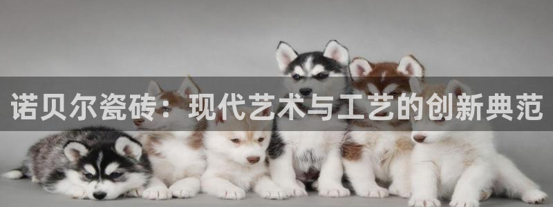 富联娱乐测速软件下载