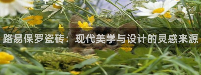 富联娱乐q