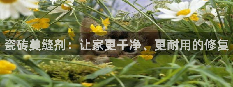 富联娱乐在线观看视频