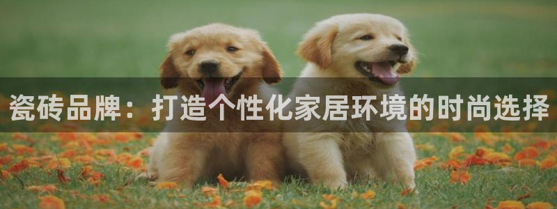 富联娱乐代理是谁开的