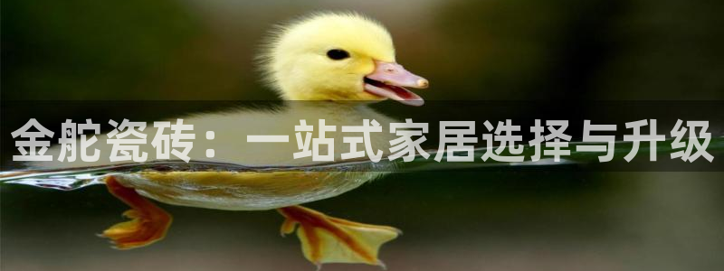 富联2娱乐资讯官网下载