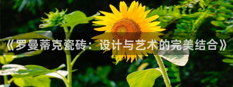 富联娱乐招商右原判官333OO