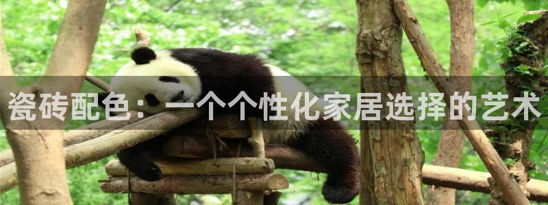 富联娱乐是真的吗