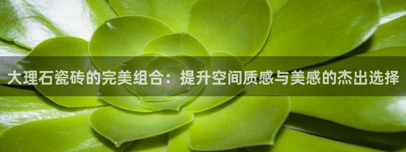 富联娱乐招商方判官333OO