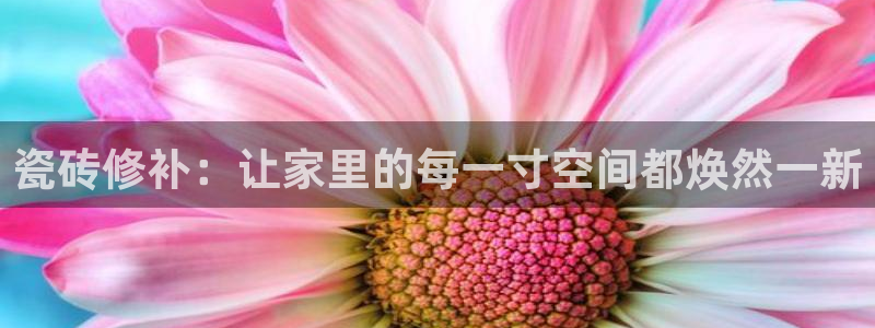 富联娱乐代理怎么做