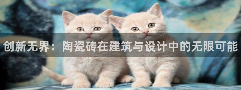 富联娱乐公司简介