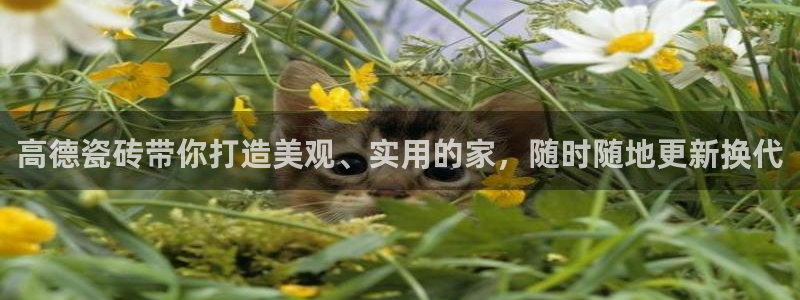 富联娱乐招商天333OO判官