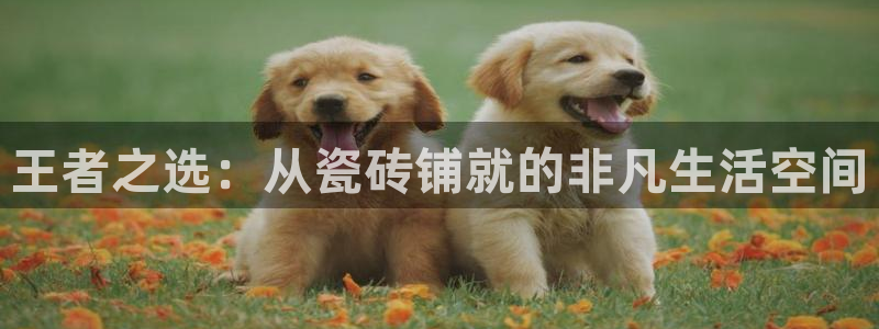 富联娱乐平台怎么样知乎