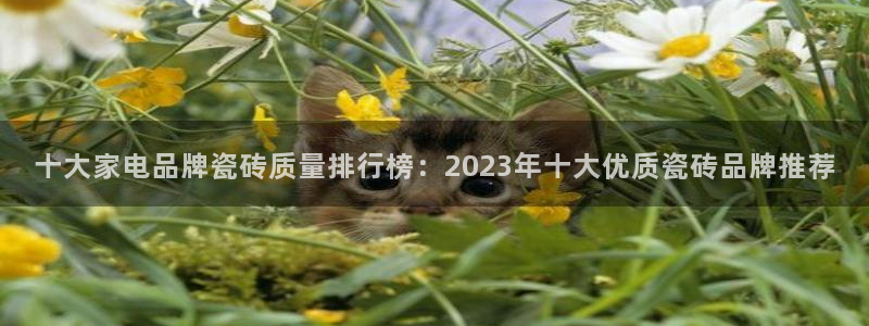 富联娱乐主管是谁呀老板