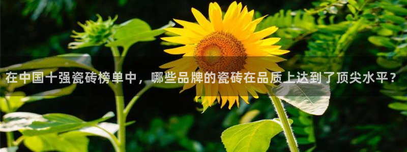 富联娱乐开户费用查询表